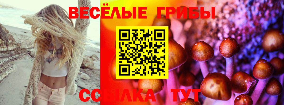 Галлюциногенные грибы мухоморы Жигулёвск